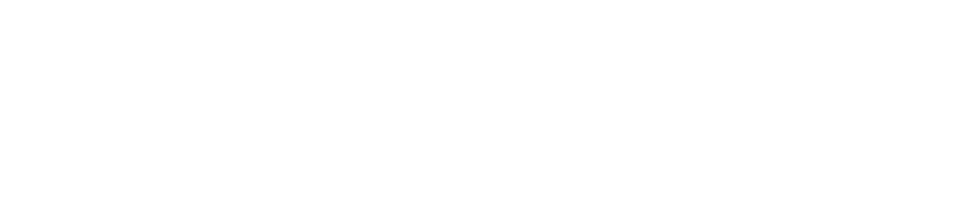 Lufthansa Industry Solutions