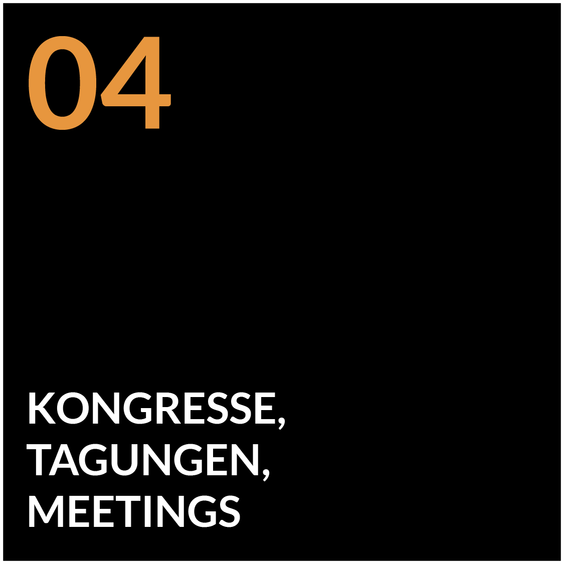 04 – Kongresse, Tagungen, Meetings